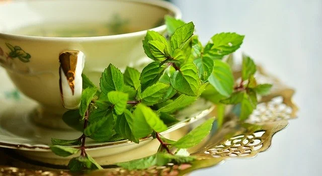 geen tea-widetopics