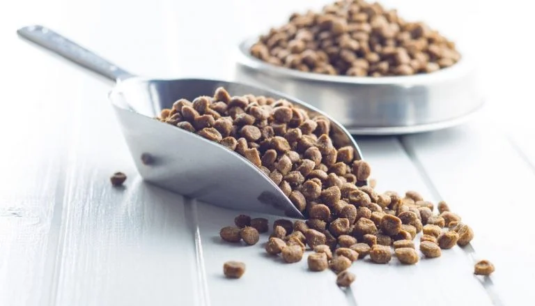 Dried Food