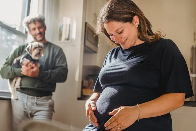 pregnancy-lunch-ideas