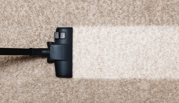 3 Ways to Get Rid of a Musty Carpet Smell