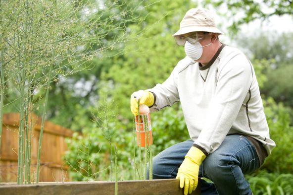 Fertilizer-for-Lawns