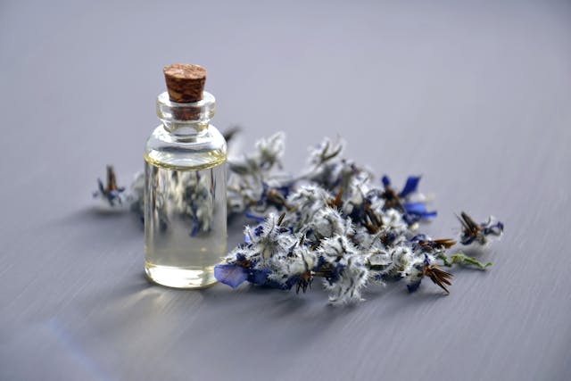 The-Magic-Scent