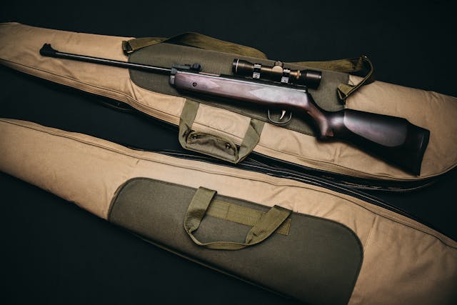 Gun-Stocks