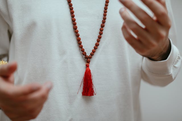 Can We Grow Rudraksha Tree At Home?