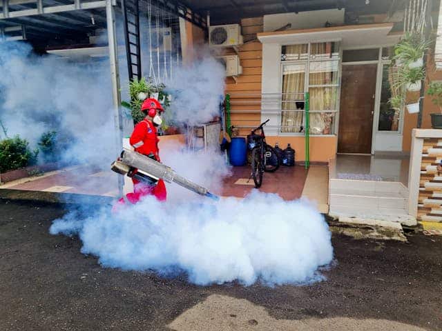 pest-control