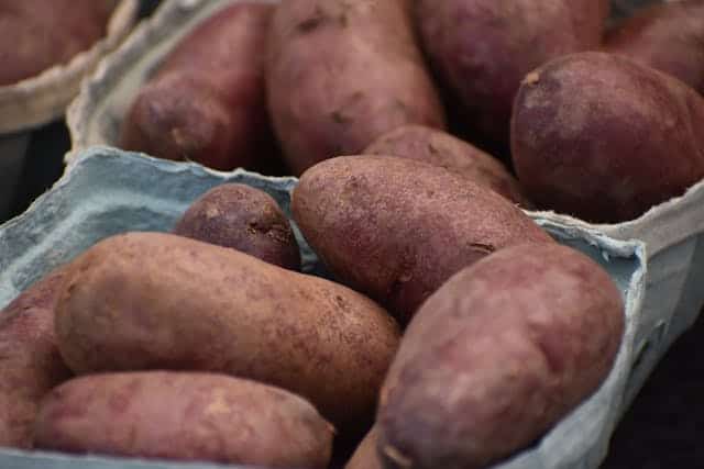 Sweet-Potato